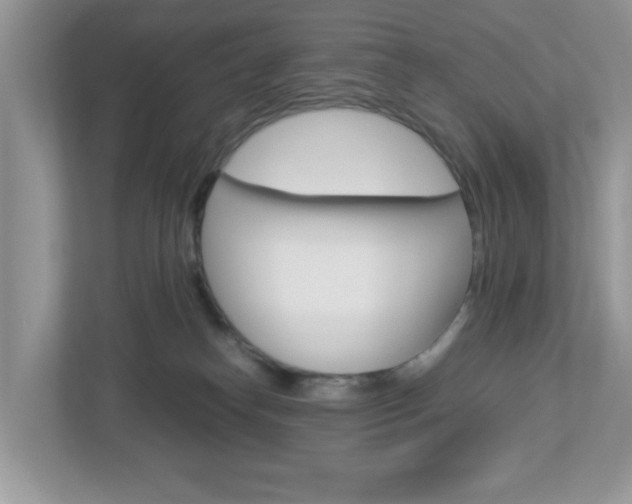 X0000112950182200908241034