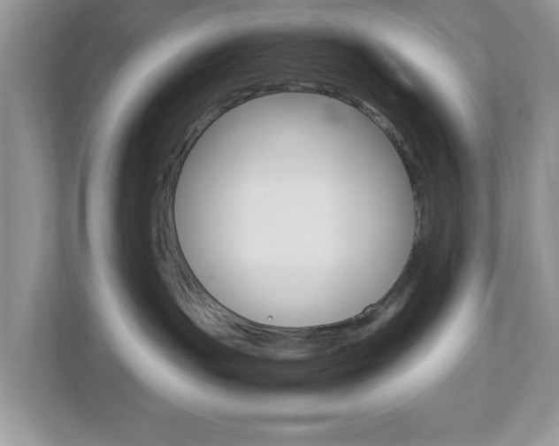 X0000112950191200908241034