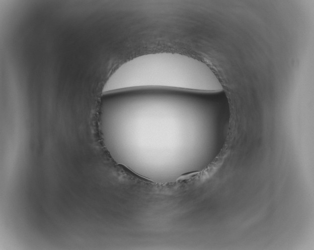 X0000112950192200908241034