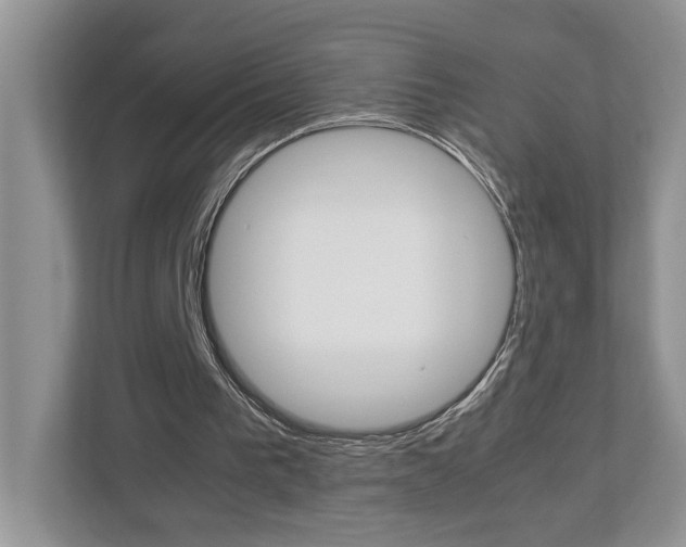 X0000112950193200908241034