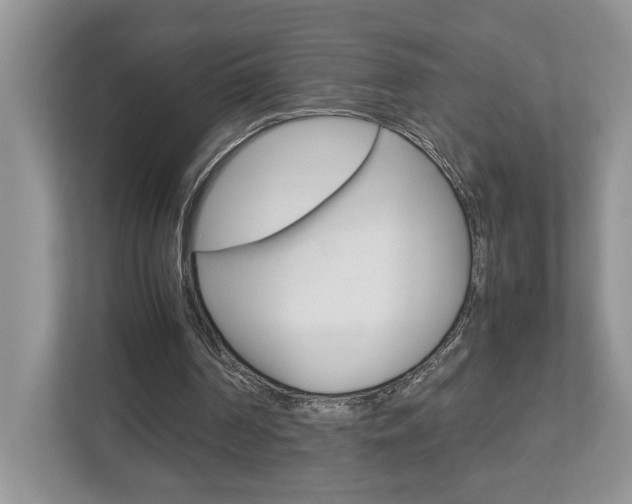 X0000112950194200908241034