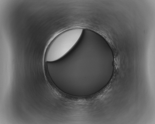 X0000112950196200908241034