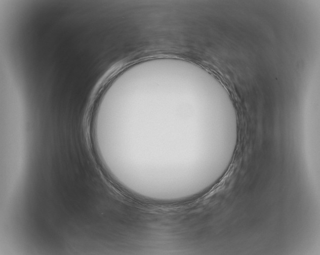 X0000112950197200908241034