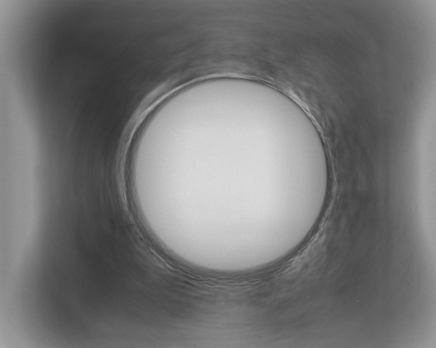 X0000112950199200908241034
