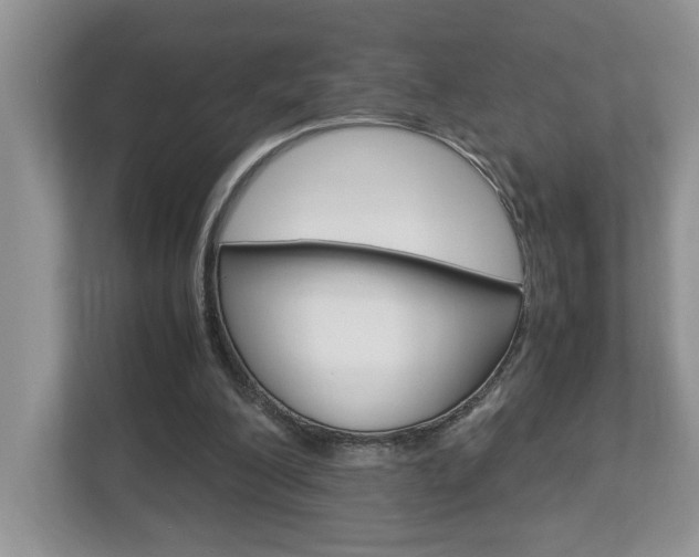 X0000112950200200908241034