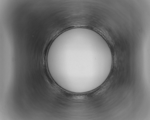 X0000112950202200908241034