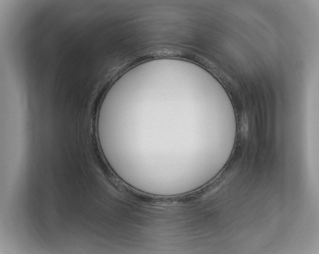 X0000112950206200908241034