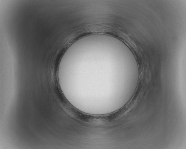 X0000112950209200908241034
