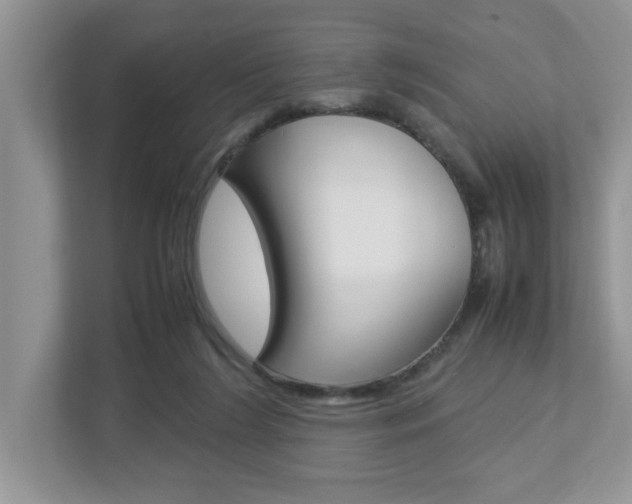 X0000112950212200908241034