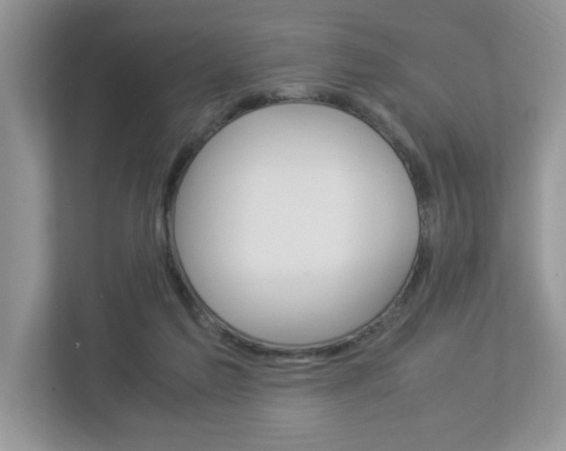 X0000112950213200908241034