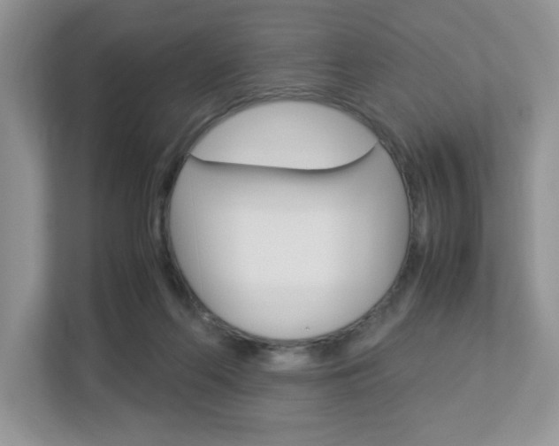 X0000112950214200908241033