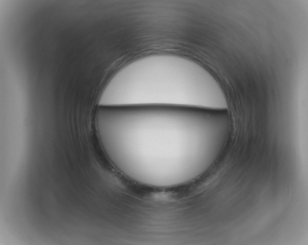 X0000112950216200908241033
