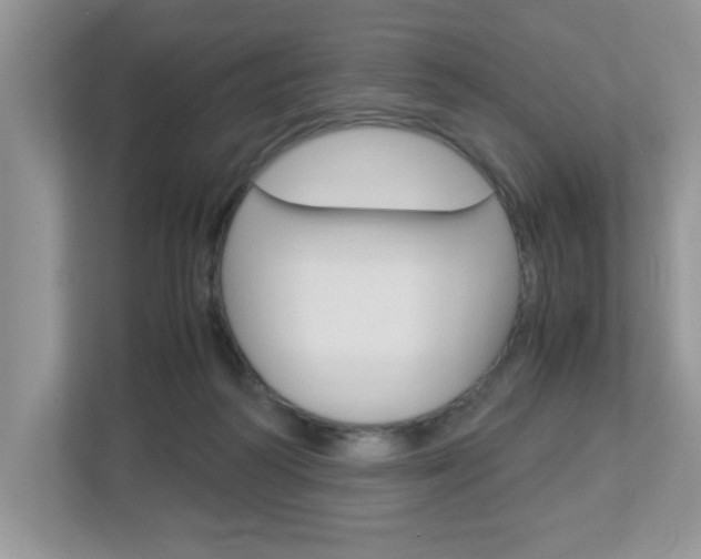 X0000112950218200908241033