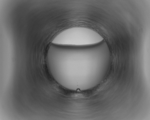 X0000112950224200908241033
