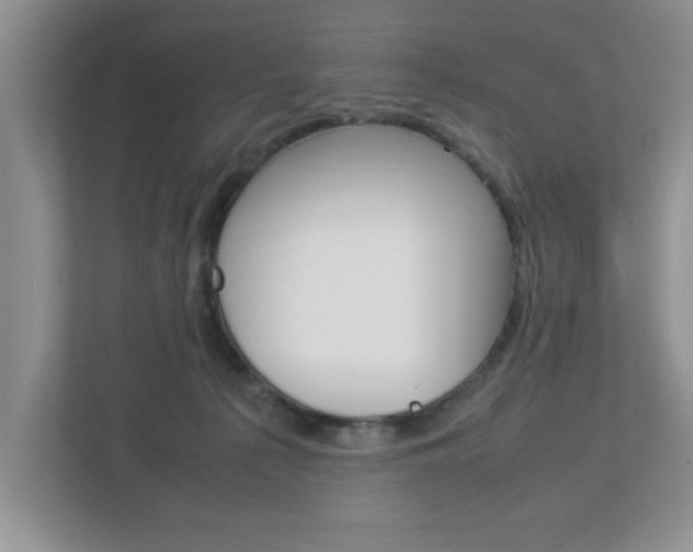 X0000112950225200908241033