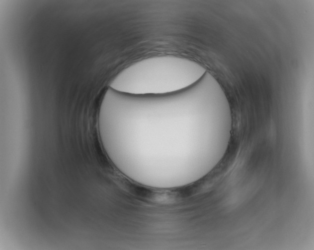 X0000112950226200908241033