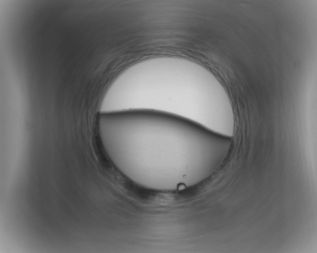 X0000112950227200908241033