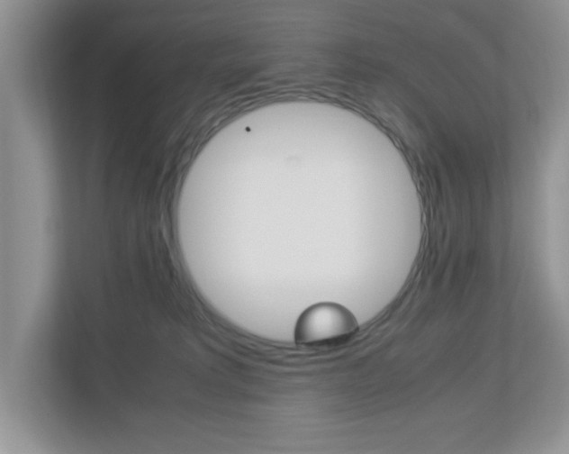 X0000112950229200908241033