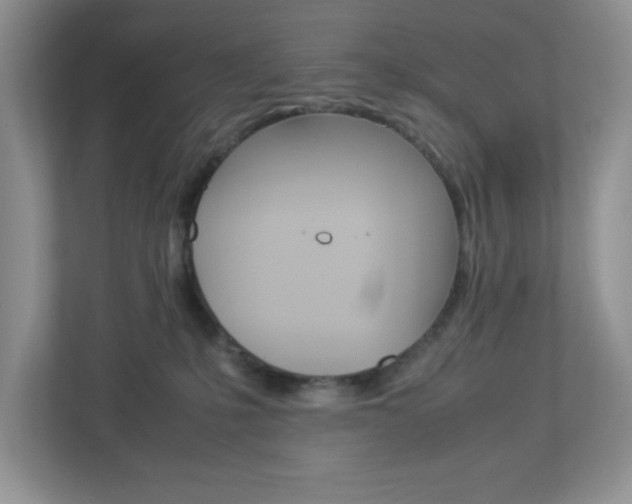 X0000112950231200908241033