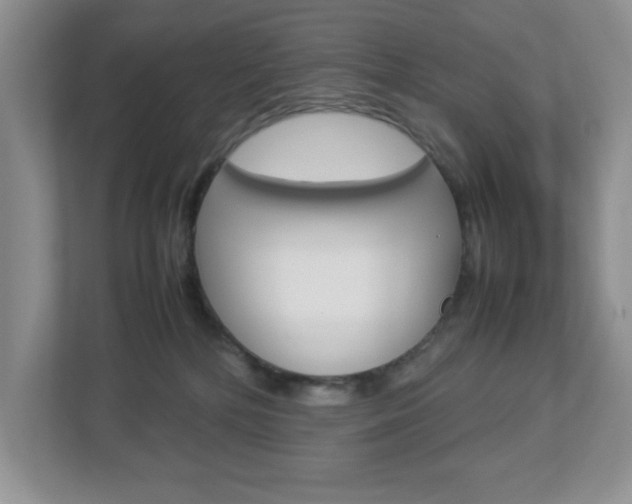 X0000112950232200908241033
