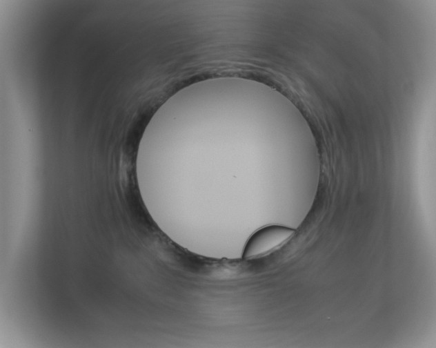 X0000112950235200908241033