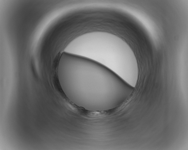 X0000112950239200908241033