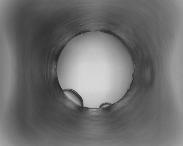 X0000112950240200908241033