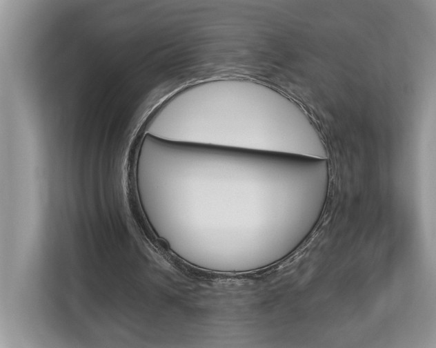 X0000112950242200908241033