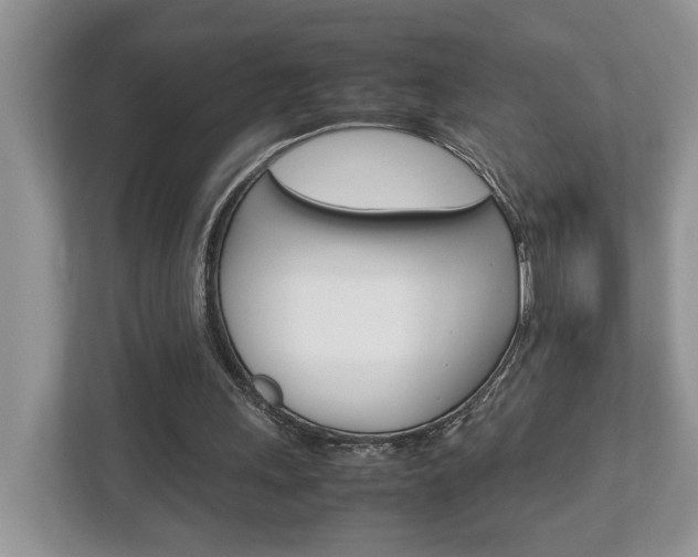 X0000112950243200908241033