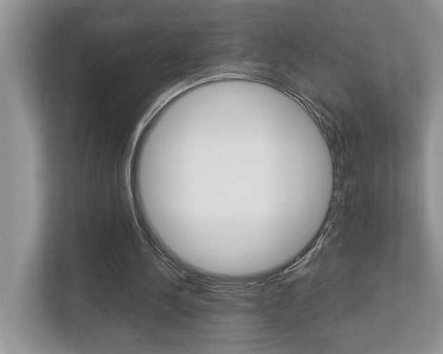 X0000112950244200908241033