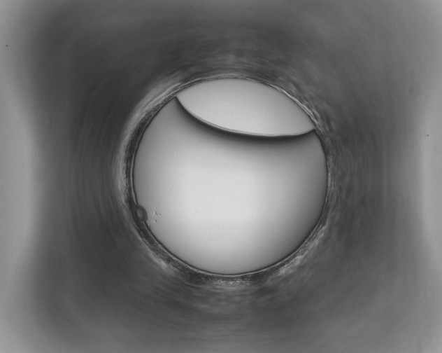X0000112950245200908241033