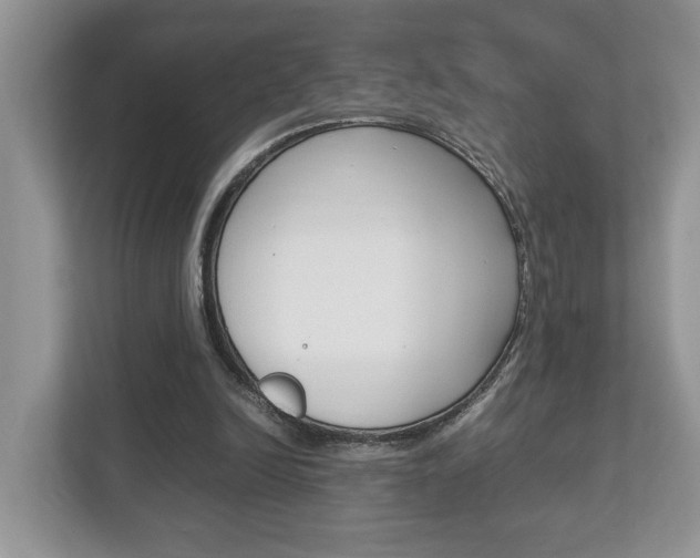 X0000112950246200908241033