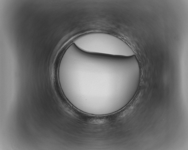 X0000112950247200908241033