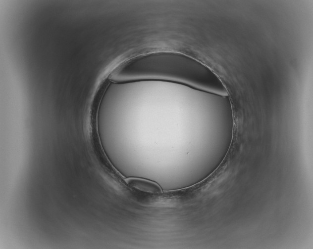 X0000112950248200908241033