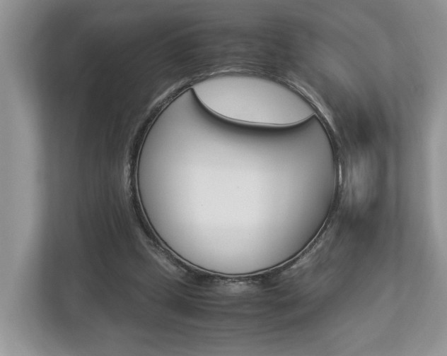 X0000112950249200908241033