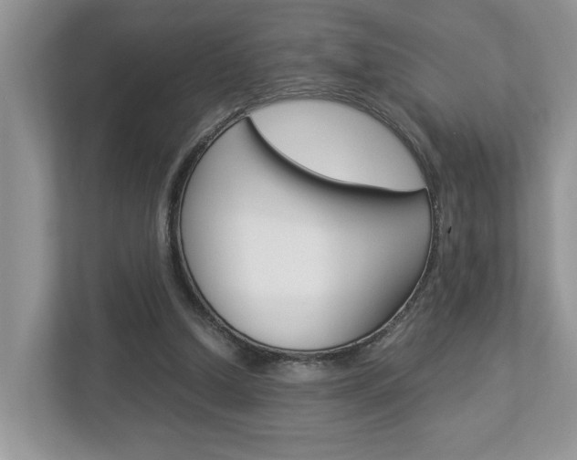 X0000112950250200908241033