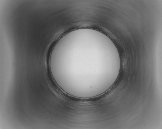 X0000112950254200908241033