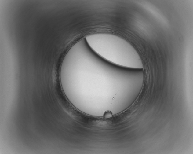 X0000112950255200908241033