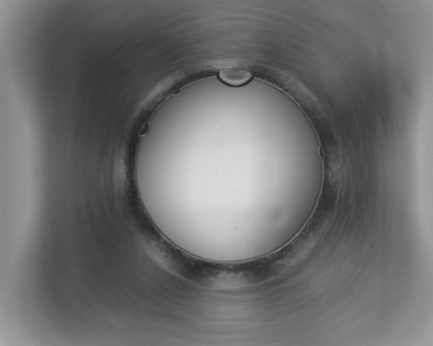 X0000112950256200908241033
