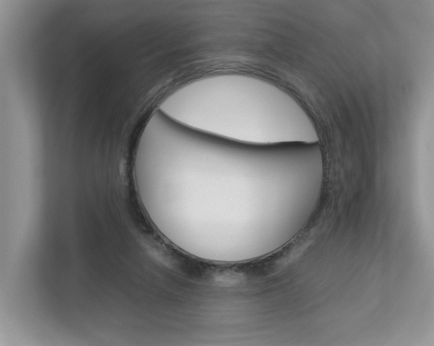 X0000112950258200908241033