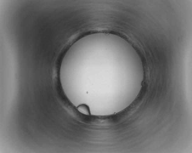 X0000112950260200908241033