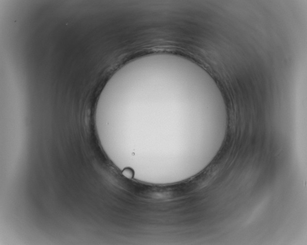X0000112950263200908241033