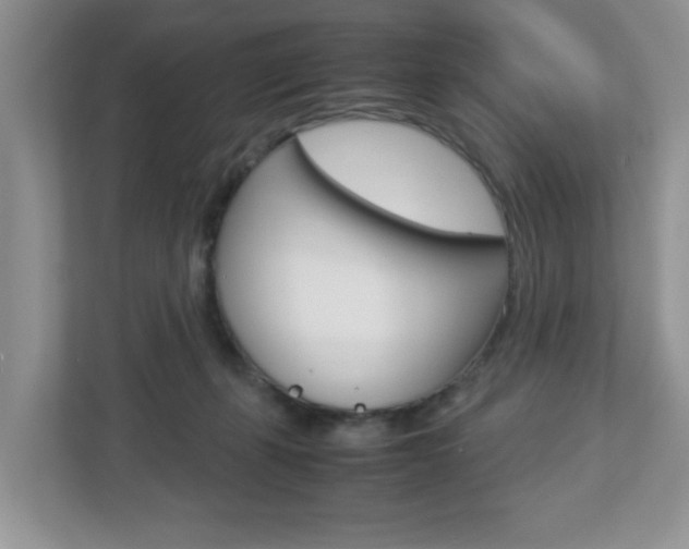 X0000112950271200908241033