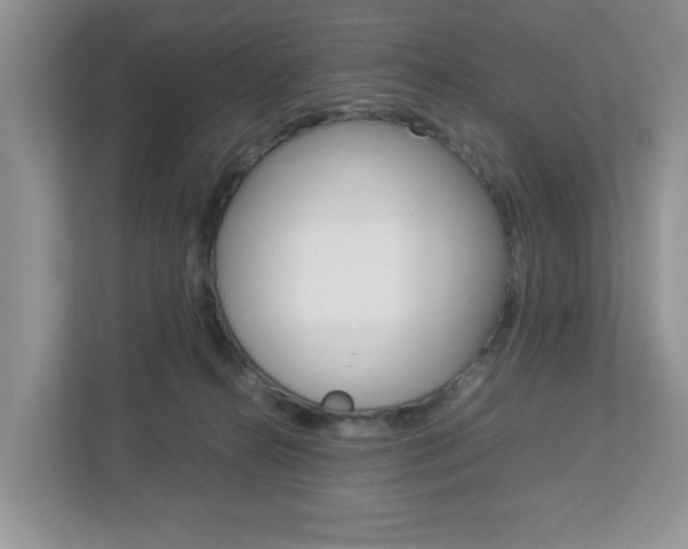 X0000112950272200908241033