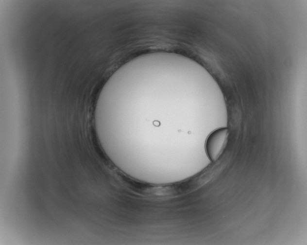 X0000112950273200908241033