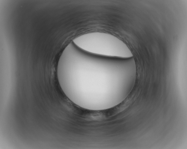 X0000112950279200908241033