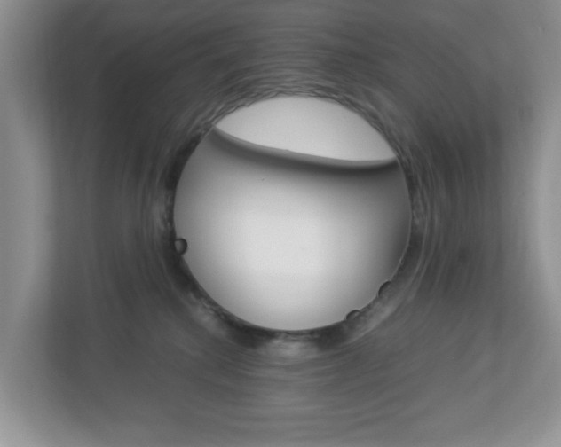 X0000112950280200908241033