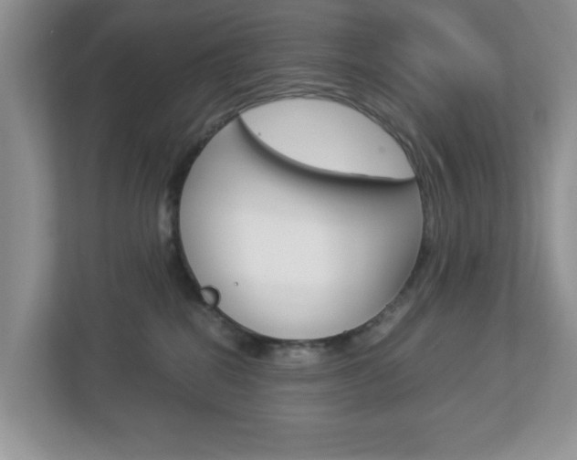 X0000112950282200908241033