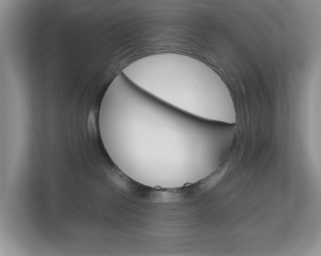 X0000112950286200908241033