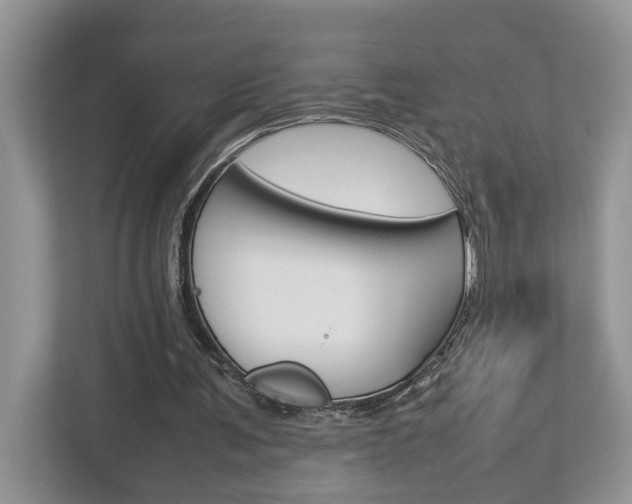 X0000112950291200908241032